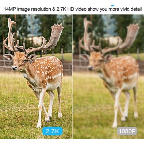 Professional 4G Trail Camera  HD Live Streaming & Night Vision